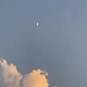 りすの画像