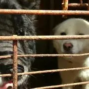 さんの画像