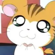 とらはむの画像
