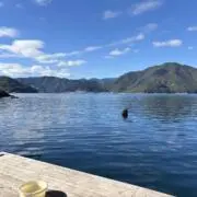 トンイの画像
