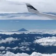 よっちゃんの画像