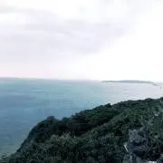 saの画像