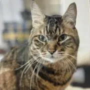 みっちゃんの画像