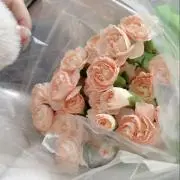 suの画像