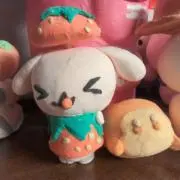 しーちゃんの画像