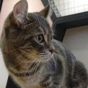 むーみんの画像