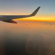 shinの画像