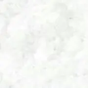 _ya.の画像