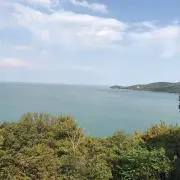 Mの画像