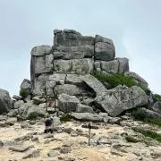 GAの画像
