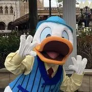 Arianaの画像