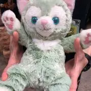 あや坊。の画像