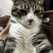 たくみ ✅値下げ交渉可能です。の画像