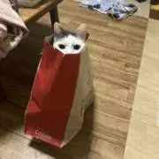 みな