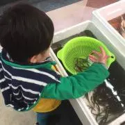 yonekyu
