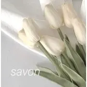 SAVONの画像