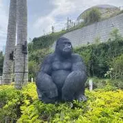 Tama.Rの画像