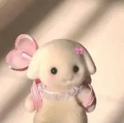 もちの画像
