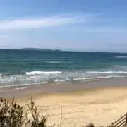 がらちょむの画像