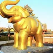 ☆吉ゾウくん358☆の画像
