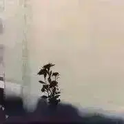 古着Rowanの画像
