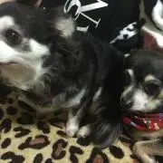 。