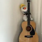 ちゃんの画像