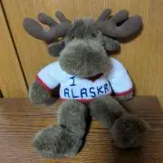 1985年つくば万博宇宙飛行士認定証 - メルカリ