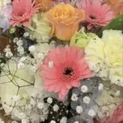 さえの画像