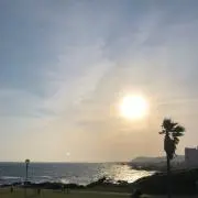 ポンポン姫