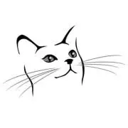 Tadyの画像