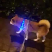 おさや
