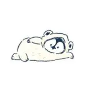 こぐまの画像