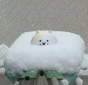 しじみ