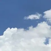ぬかの画像