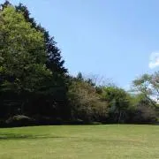スニカス
