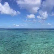 りん