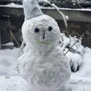 ぎゃばんの画像