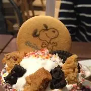 ぽこの画像