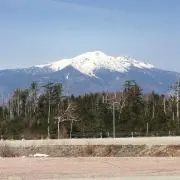 kono