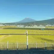 あーの画像