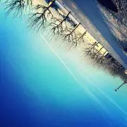 楓
