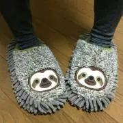 やんみなの画像