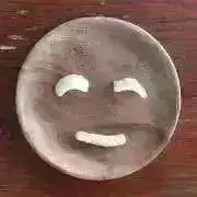 まめこの画像