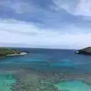 ALOHA   値下げ不可次回発送6/6の画像
