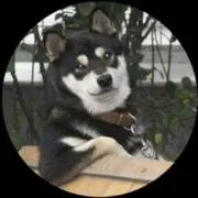斑目　剛領の画像