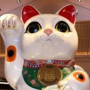 やよ