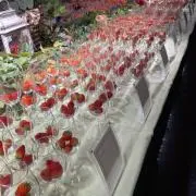 cho-coの画像