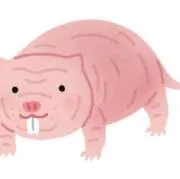 言うかの画像