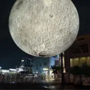 1日で発送します♪